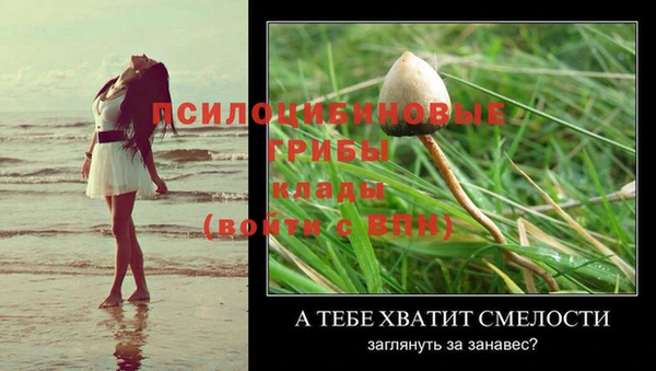 тгк Богородск