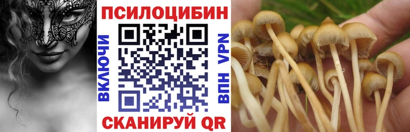 Галлюциногенные грибы MAGIC MUSHROOMS хочу наркоту Уссурийск